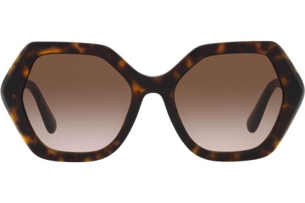 Ochelari de soare Dolce & Gabbana DG4406 502/13 Pătrați Havana