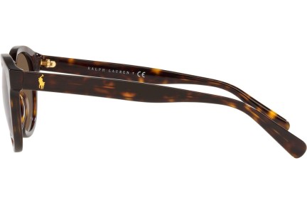 Okulary przeciwsłoneczne Polo Ralph Lauren PH4184 500373 Okrągłe Havana