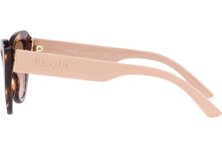 Napszemüvegek Prada PR13YS 07R0A6 Cat Eye Havana