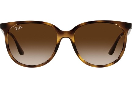 Napszemüvegek Ray-Ban RB4378 710/13 Szogletes Havana