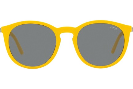 Okulary korekcyjne Polo Ralph Lauren PH4183U 537587 Okrągłe Czarne