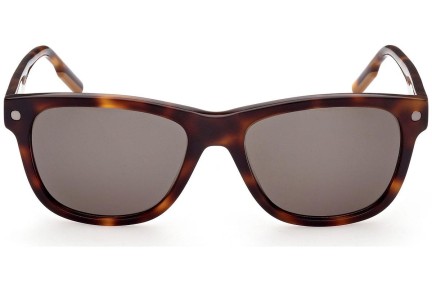 Ochelari de soare Zegna EZ0196 52N Pătrați Havana