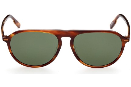 Okulary przeciwsłoneczne Zegna EZ0202 52N Pilotki (Aviator) Havana