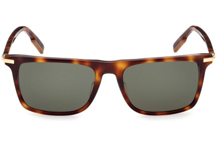 Sunglasses Zegna EZ0204 52N Kwadratowe Havana