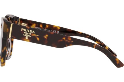 Okulary przeciwsłoneczne Prada PR17ZS VAU6S1 Kwadratowe Havana