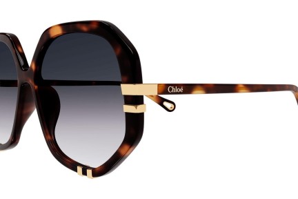 Okulary przeciwsłoneczne Chloe CH0105S 004 Kwadratowe Havana