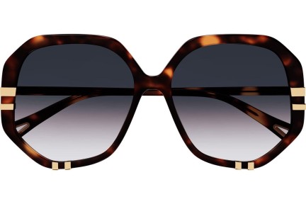 Okulary przeciwsłoneczne Chloe CH0105S 004 Kwadratowe Havana