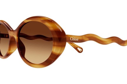 Okulary przeciwsłoneczne Chloe CH0088S 002 Owalne Havana