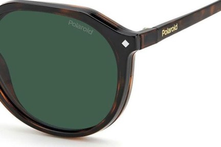 Очила Polaroid PLD6165/CS 086/UC Polarized Заоблени Хавана