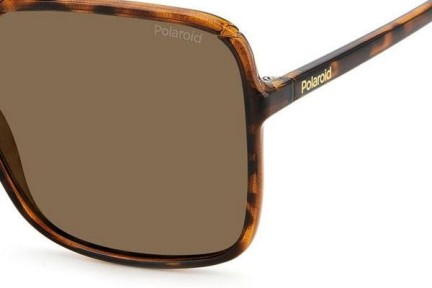 Okulary przeciwsłoneczne Polaroid PLD6128/S 9N4/SP Polarized Oversize Havana