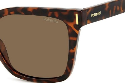 Слънчеви очила Polaroid PLD6192/S 086/SP Polarized Око на котка Хавана