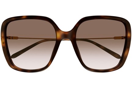 Okulary przeciwsłoneczne Chloe CH0173S 002 Kwadratowe Havana