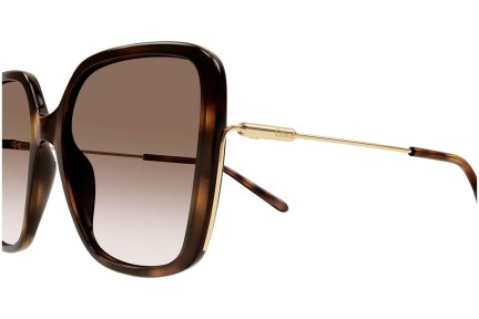 Okulary przeciwsłoneczne Chloe CH0173S 002 Kwadratowe Havana