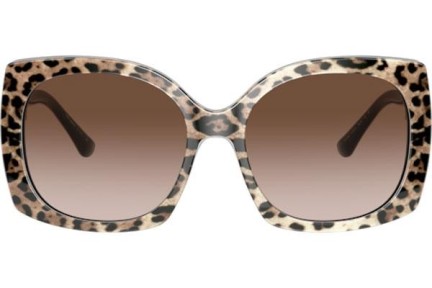 Okulary przeciwsłoneczne Dolce & Gabbana Icons Collection DG4385 316313 Kwadratowe Havana