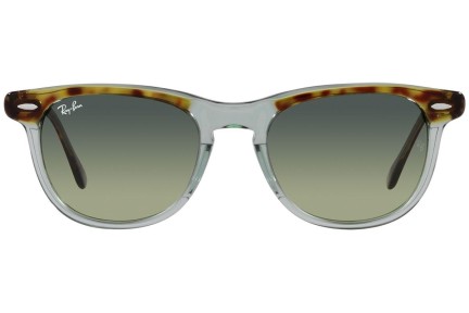 Ochelari de soare Ray-Ban Eagleeye RB2398 1376BH Rotunzi Verzi