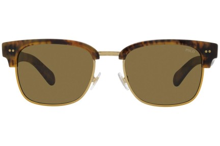 Okulary przeciwsłoneczne Polo Ralph Lauren PH4202 501773 Browline Havana