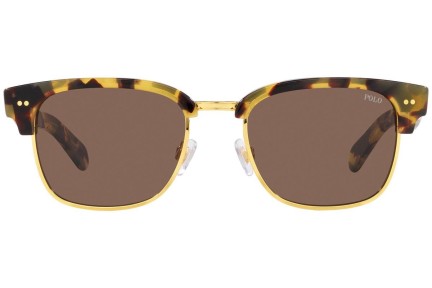 Okulary przeciwsłoneczne Polo Ralph Lauren PH4202 608773 Browline Havana