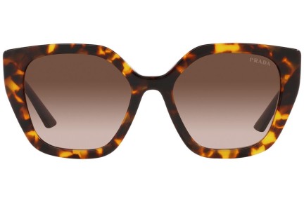 Okulary przeciwsłoneczne Prada PR24XS VAU6S1 Kocie oczy Havana
