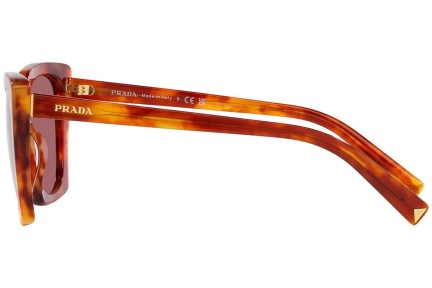 Okulary przeciwsłoneczne Prada PR23ZS 4BW08S Kwadratowe Havana