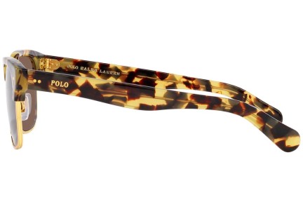 Okulary przeciwsłoneczne Polo Ralph Lauren PH4202 608773 Browline Havana