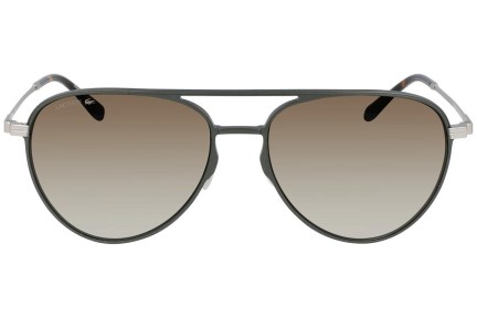 Okulary przeciwsłoneczne Lacoste L243SE 317 Pilotki (Aviator) Zielone