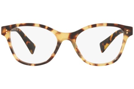 Briller Miu Miu MU02UV 7S01O1 Cat Eye Havana