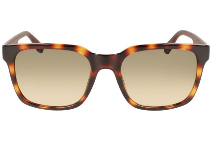 Okulary przeciwsłoneczne Lacoste L967S 230 Kwadratowe Havana