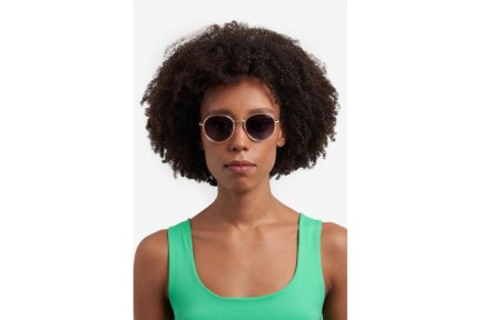 Ochelari de soare Polaroid PLD4173/G/S/X 2F7/WJ Polarized Rotunzi Aurii