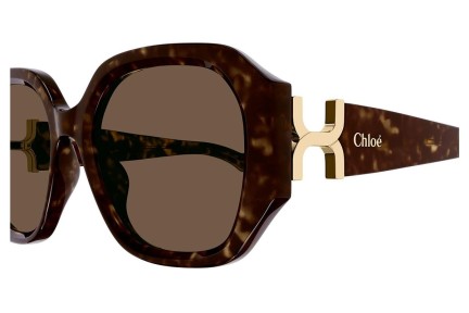 Ochelari de soare Chloe CH0236S 002 Pătrați Havana