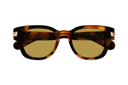 Napszemüvegek Gucci GG1518S 003 Kerek Havana