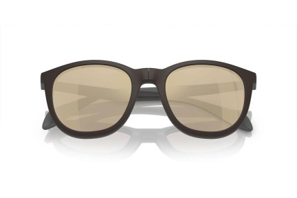 Ochelari Emporio Armani EA4211 51261W Rotunzi Gri