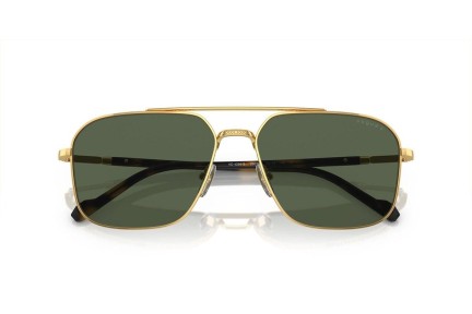 Zonnebril Vogue Eyewear VO4289S 280/9A Polarized Special Goud