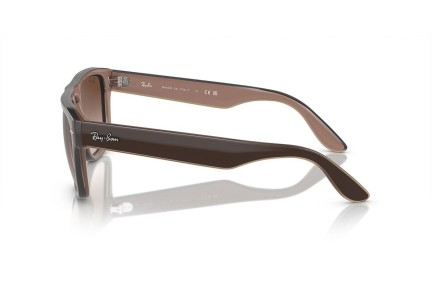 Ochelari de soare Ray-Ban RB4407 673113 Pătrați Maro