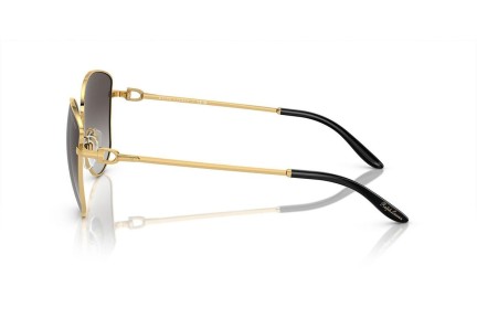 Okulary przeciwsłoneczne Ralph Lauren The Vivienne RL7079 90048G Nieregularny Złote