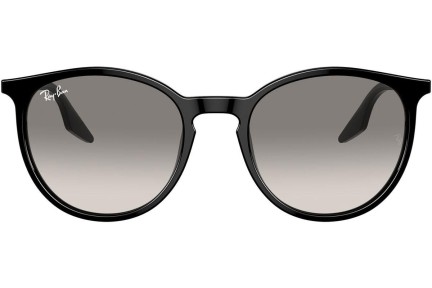 Ochelari de soare Ray-Ban RB2204 901/32 Rotunzi Negri