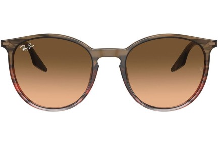 Слънчеви очила Ray-Ban RB2204 13953B Заоблени Кафява