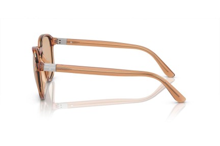 Okulary przeciwsłoneczne Polo Ralph Lauren PH4207U 604873 Okrągłe Brązowe