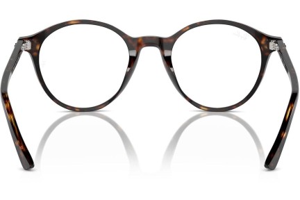 szemüvegeinket Ray-Ban RX5430 2012 Kerek Havana