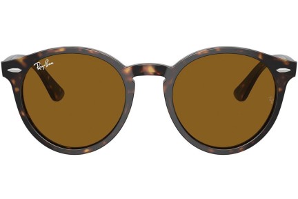 Sunglasses Ray-Ban Larry RB7680S 902/33 Okrągłe Havana