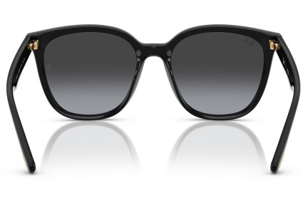 Слънчеви очила Ray-Ban RB4423D 68078G Правоъгълни Черна