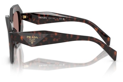 Ochelari de soare Prada PR16WS 17N60B Specială Havana