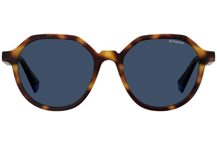 Solbriller Polaroid PLD6111/S IPR/C3 Polarized Rund Havana