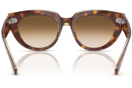 Ochelari de soare Ray-Ban RB2286 141451 Pătrați Havana