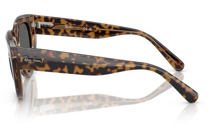 Ochelari de soare Ray-Ban RB2286 1292B1 Pătrați Havana