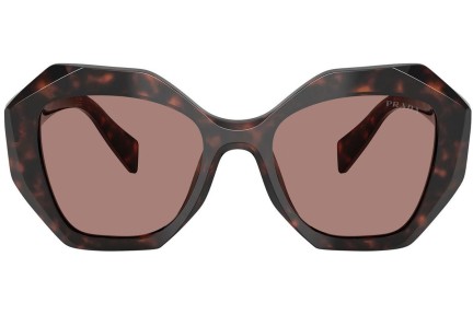 Ochelari de soare Prada PR16WS 17N60B Specială Havana