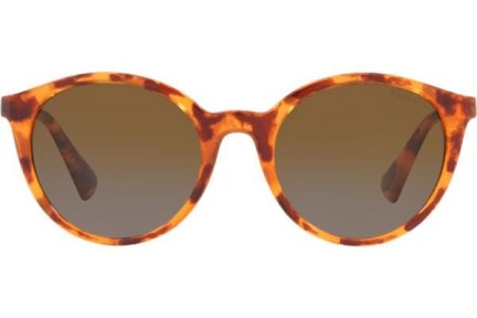 Okulary przeciwsłoneczne Ralph by Ralph Lauren RA5273 5885T5 Polarized Okrągłe Havana