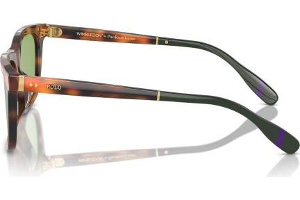 Okulary przeciwsłoneczne Polo Ralph Lauren PH4205U 6089/2 Kwadratowe Havana