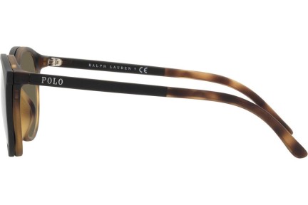 Okulary korekcyjne Polo Ralph Lauren PH4183U 5057/3 Okrągłe Havana