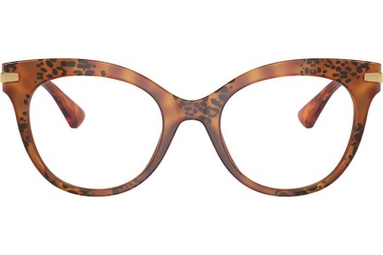 Briller Dolce & Gabbana DG3392 3380 Cat Eye Havana