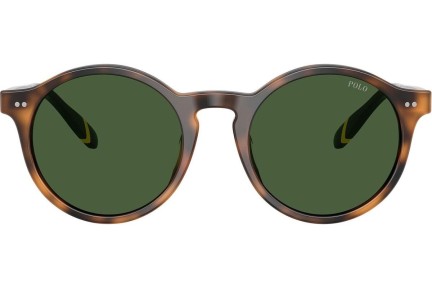 Okulary przeciwsłoneczne Polo Ralph Lauren PH4204U 608971 Okrągłe Havana